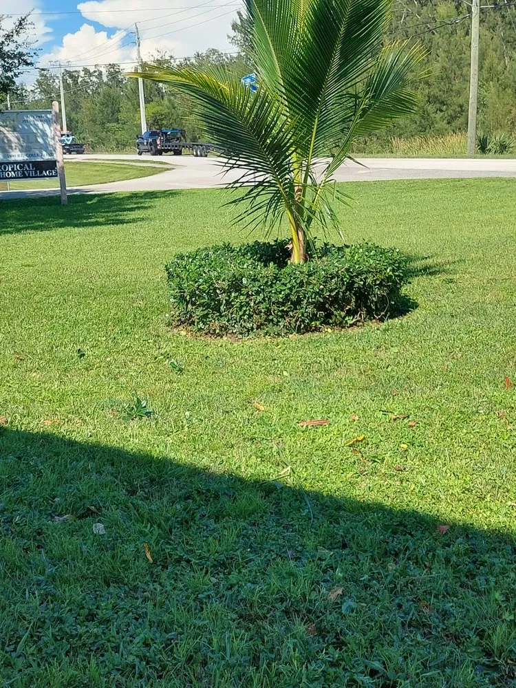 Reliable landscaping services near you across Clewiston, FL - Vicente's Brothers