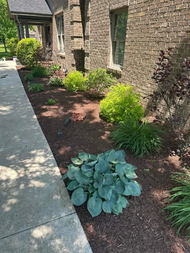 Expert garden landscaping for outdoor upgrades in Clewiston, FL by Vicente's Brothers