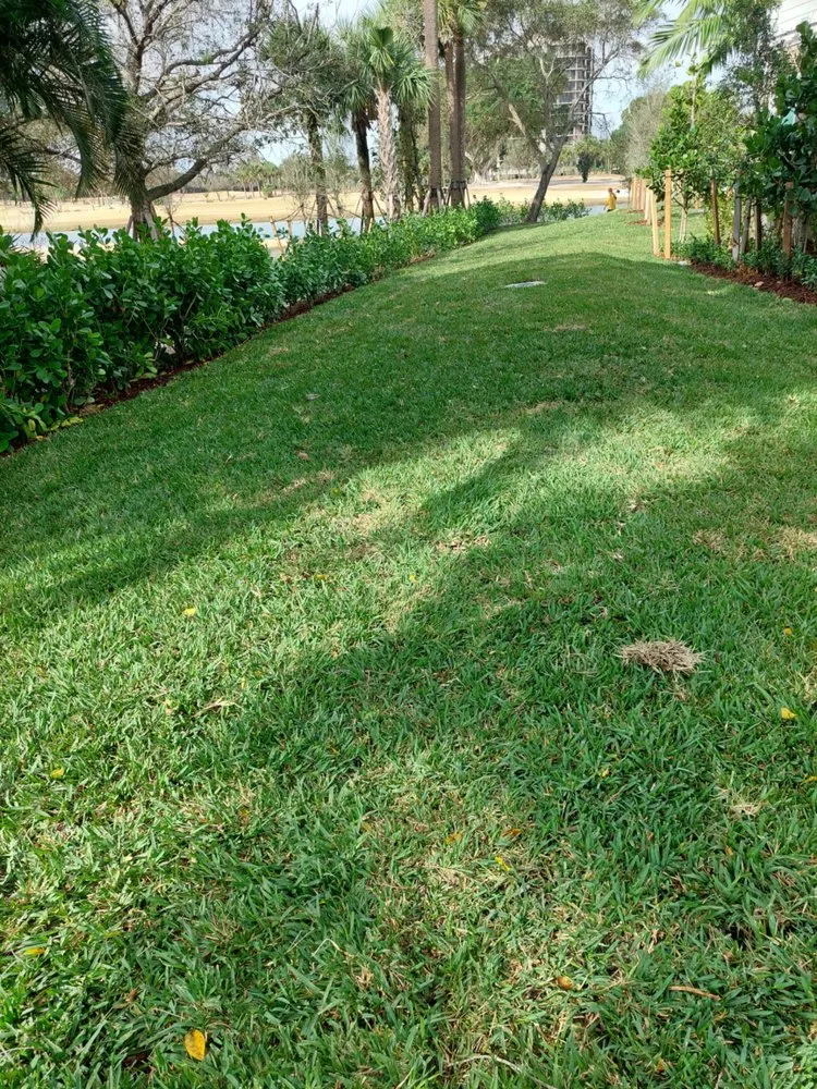Reliable landscape installation experts serving Clewiston, FL - Vicente's Brothers