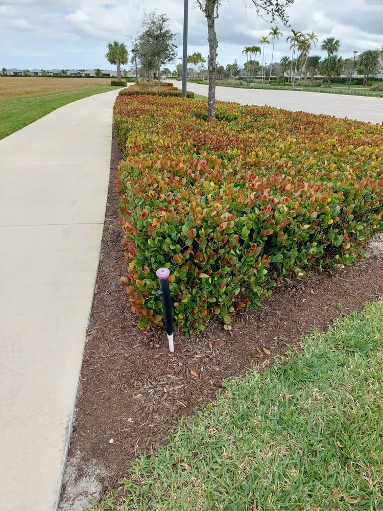 Custom landscape installation experts serving Clewiston, FL - Vicente's Brothers