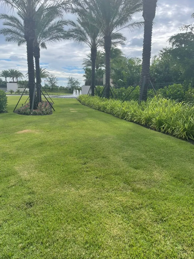 Trusted lawn care service for outdoor upgrades across Clewiston, FL - Vicente's Brothers