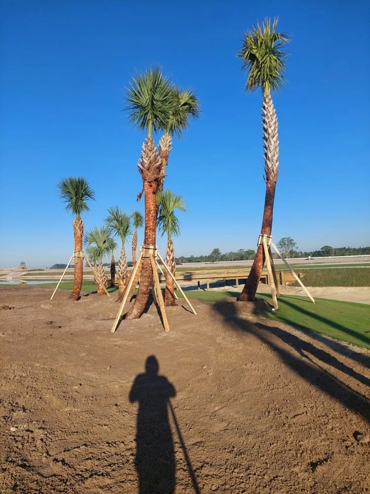 Reliable landscape installation for outdoor upgrades in Clewiston, FL by Vicente's Brothers