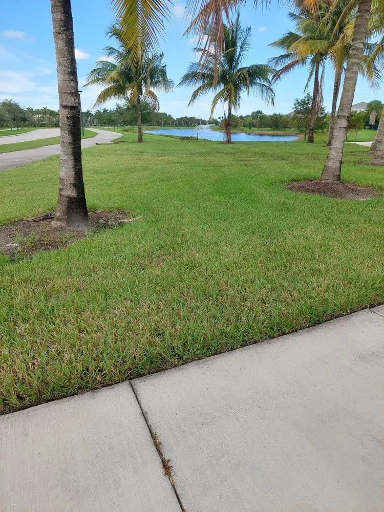 Expert landscape installation in Clewiston, FL - Vicente's Brothers