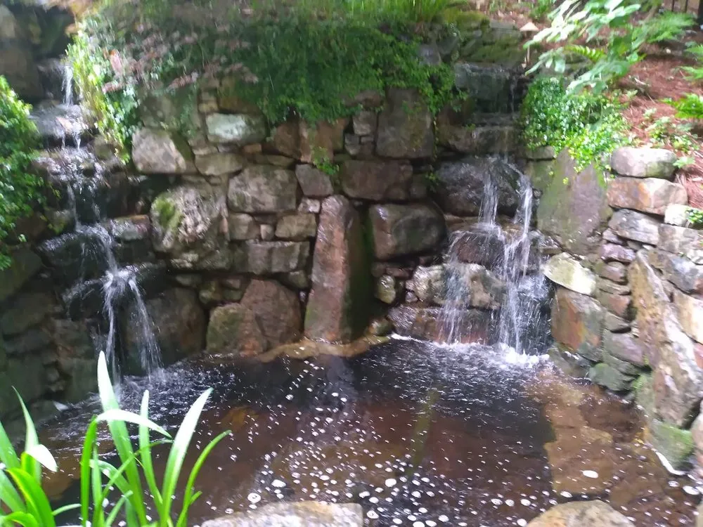 Top-rated yard maintenance near you across Atlanta, GA - Vicente's Ponds