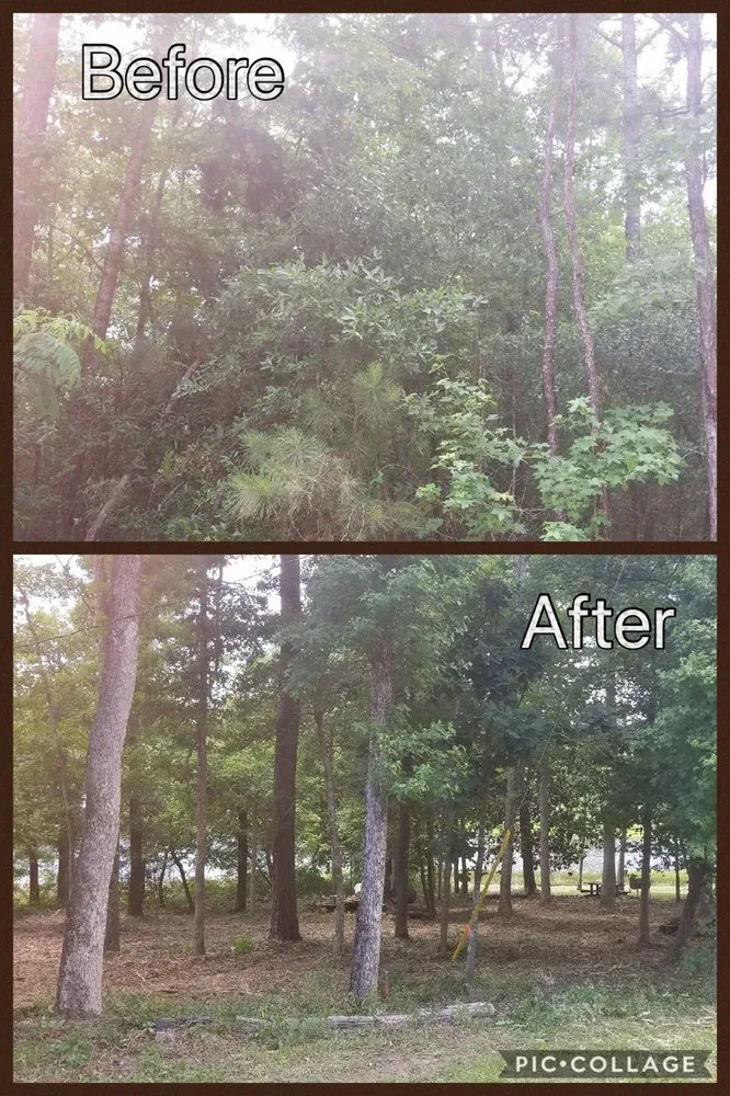 Top-rated landscaping services in Livingston, TX by Vickery Lawn Service & Stump Grinding