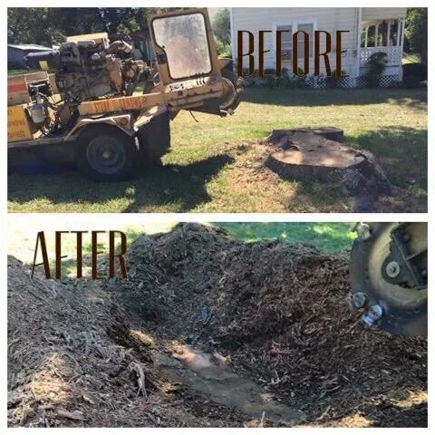 Custom residential landscaping for outdoor upgrades across Livingston, TX - Vickery Lawn Service & Stump Grinding