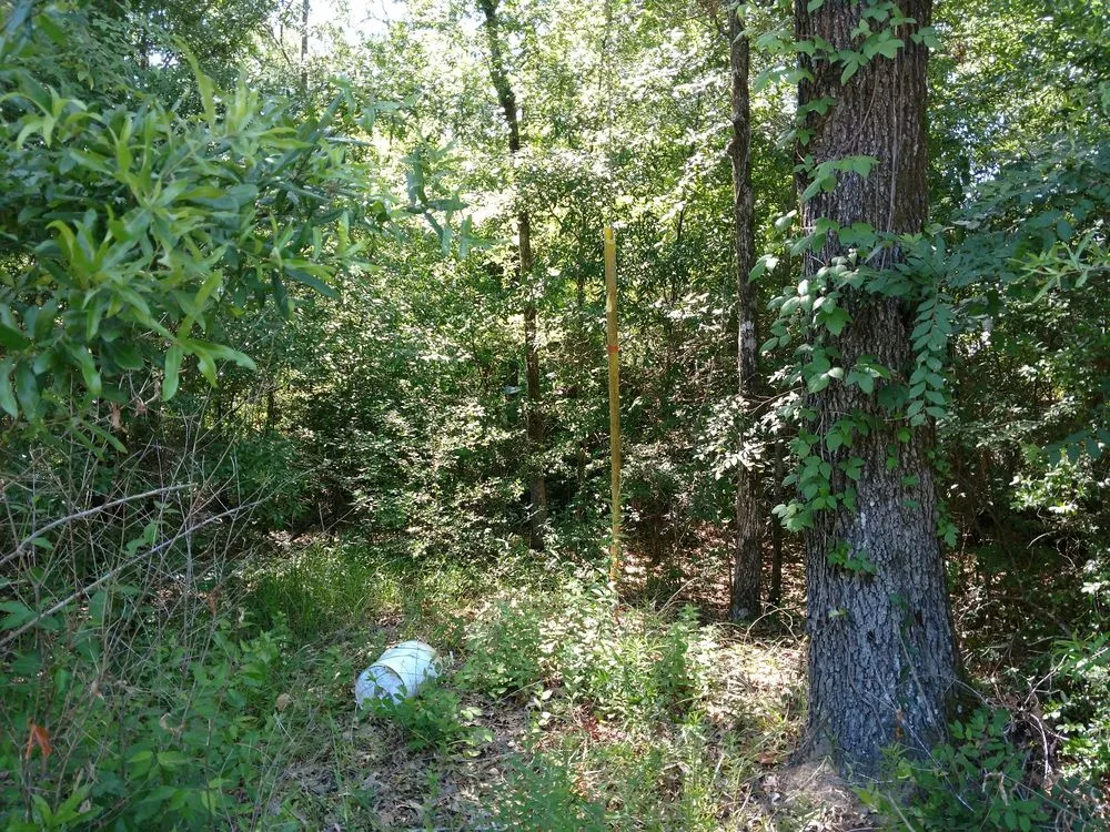 Custom lawn mowing service in Livingston, TX - Vickery Lawn Service & Stump Grinding