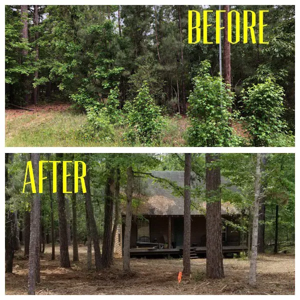 Professional outdoor landscaping in Livingston, TX by Vickery Lawn Service & Stump Grinding