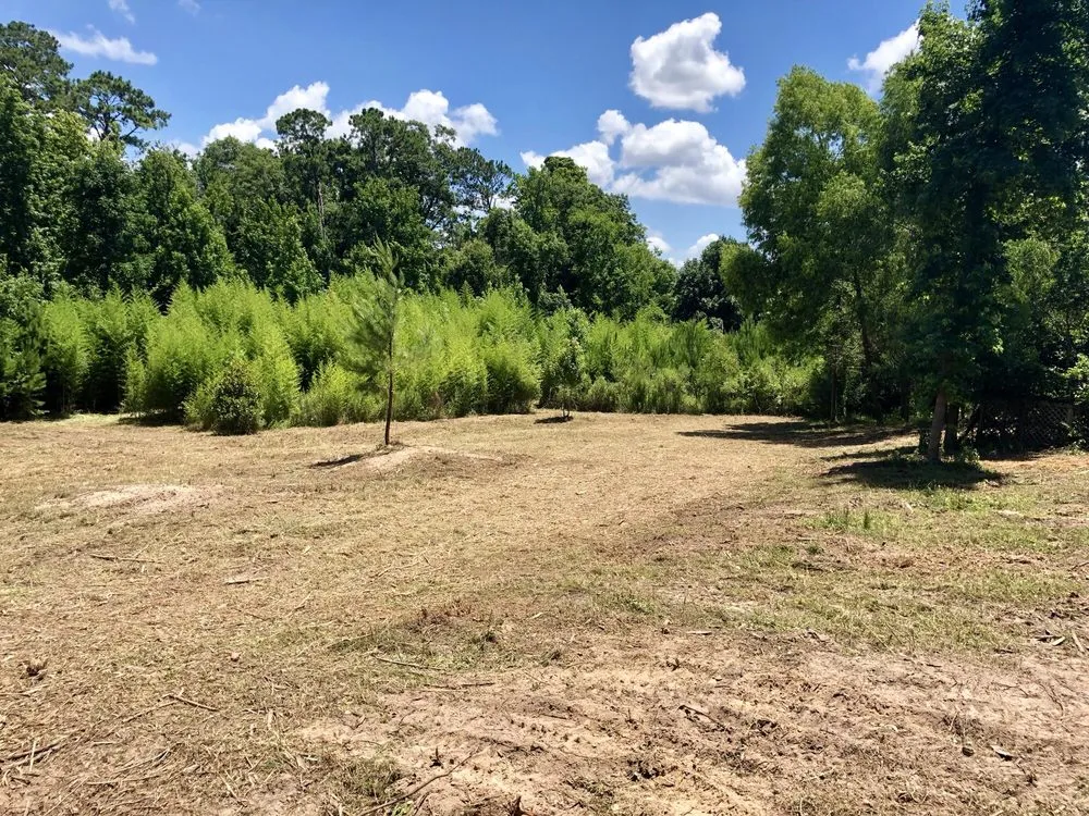 Affordable garden landscaping for beautiful yards in Livingston, TX by Vickery Lawn Service & Stump Grinding