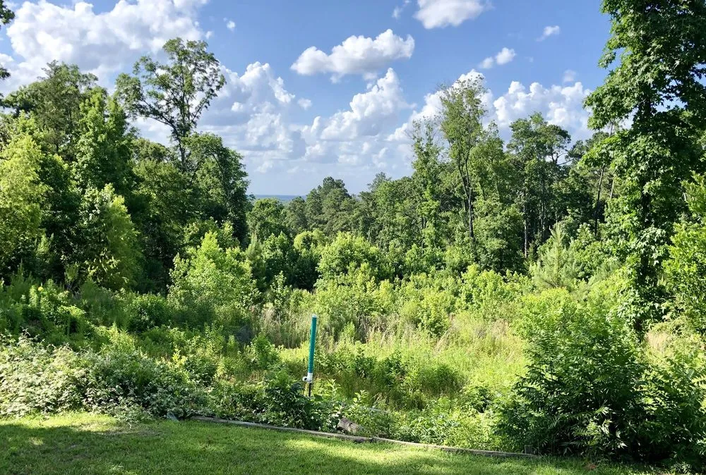 Professional landscape installation for residential properties across Livingston, TX - Vickery Lawn Service & Stump Grinding