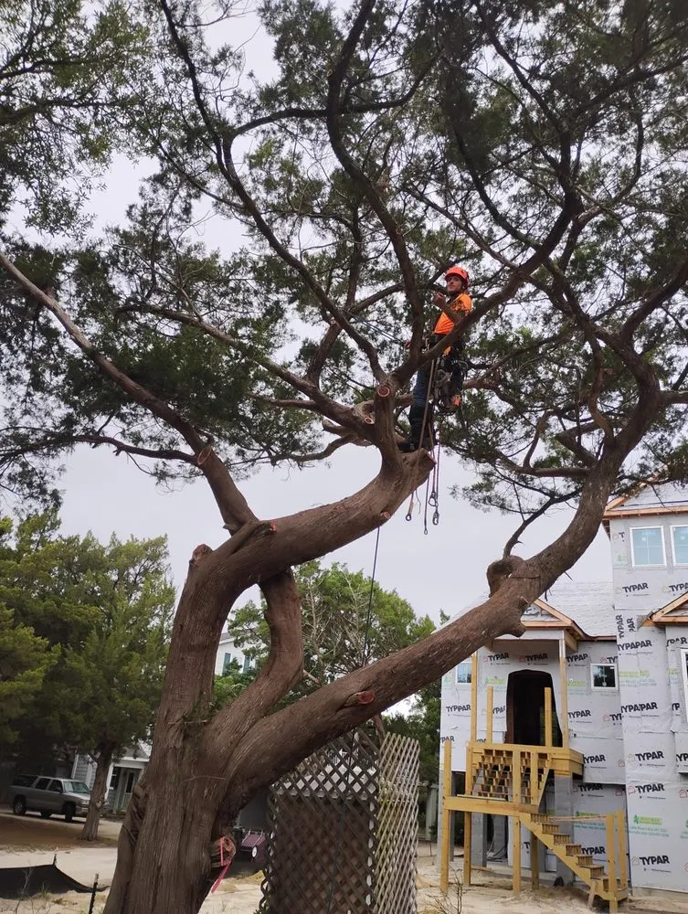 Affordable landscape installation in Morehead City, NC by Vickery's Handyman & Landscaping Services