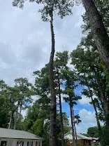 Expert garden landscaping experts serving Morehead City, NC - Vickery's Handyman & Landscaping Services