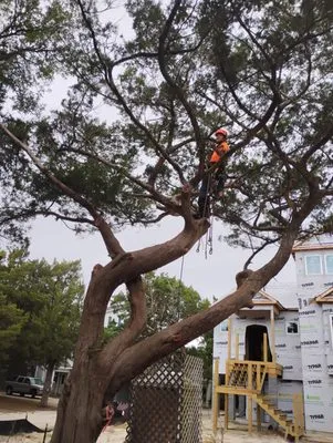 Vickery's Handyman & Landscaping Services Logo