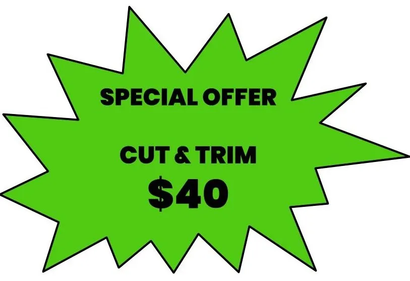 Expert landscape installation experts serving Matthews, NC - Vicks Lawn Service