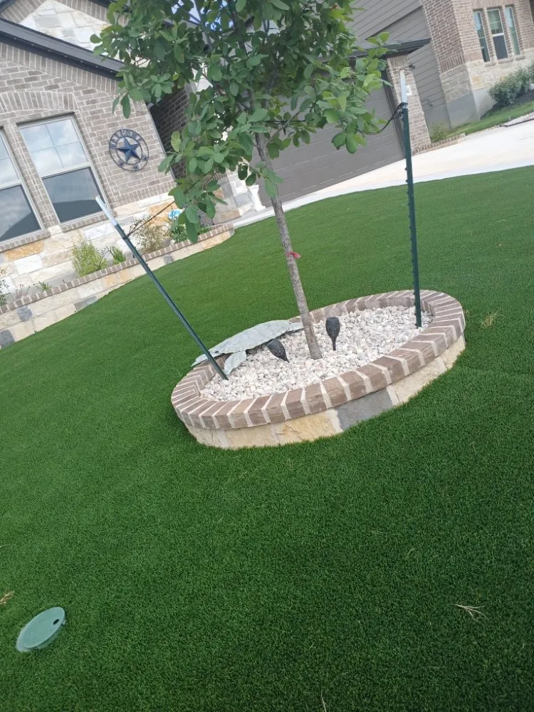 Affordable yard cleanup service experts serving San Antonio, TX - Vicky's Softscape Renovations