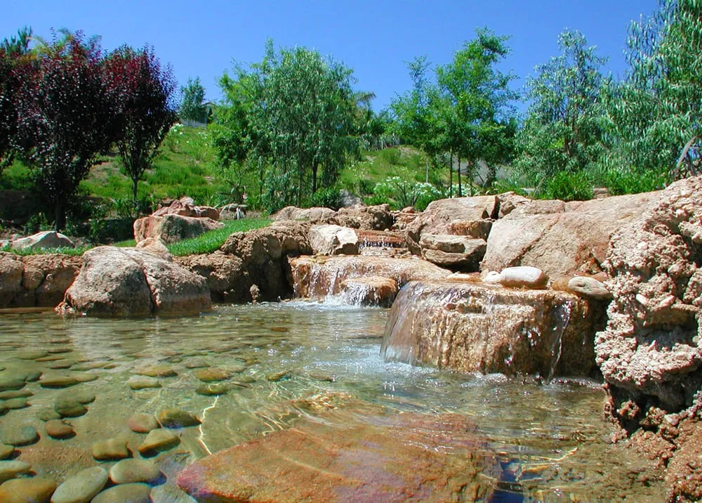 Professional yard cleanup service for outdoor upgrades across Westlake Village, CA - Vicreations