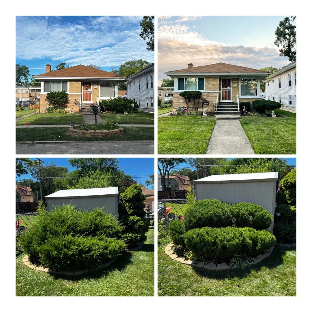 Trusted yard cleanup service in Westchester, IL - Vic’s Exterior Services