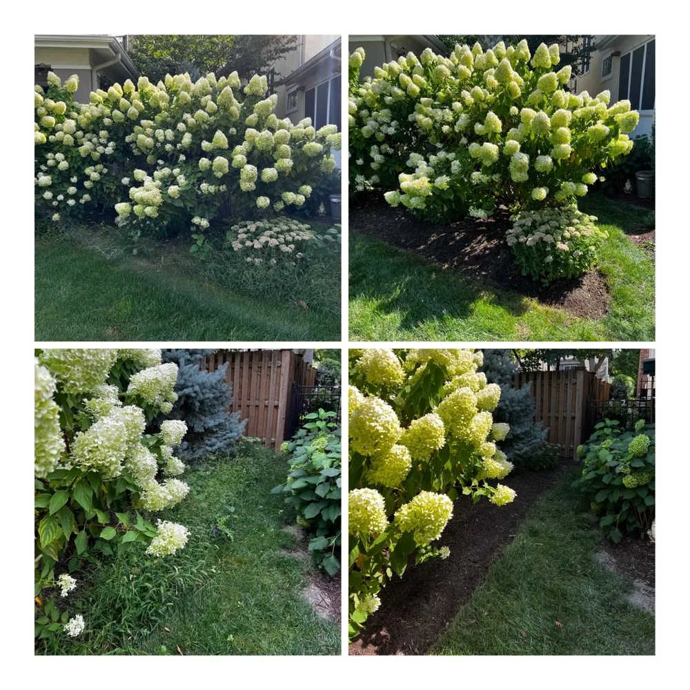 Expert landscaping services in Westchester, IL - Vic’s Exterior Services