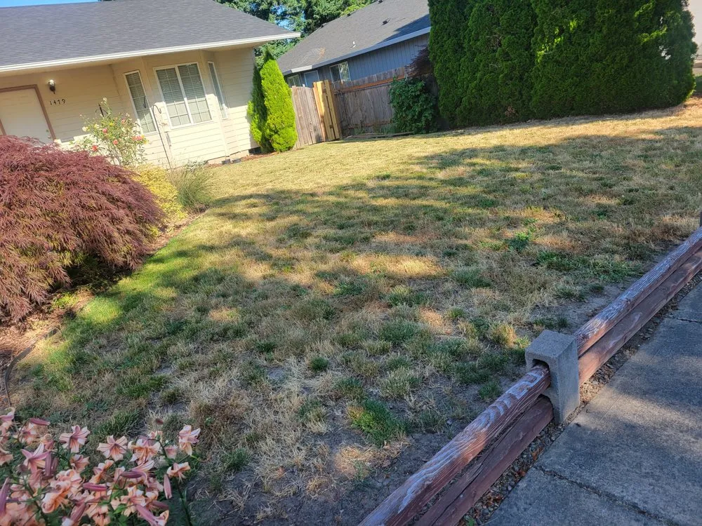 Expert landscape installation experts serving Cornelius, OR - Vics Landscaping Maintaince