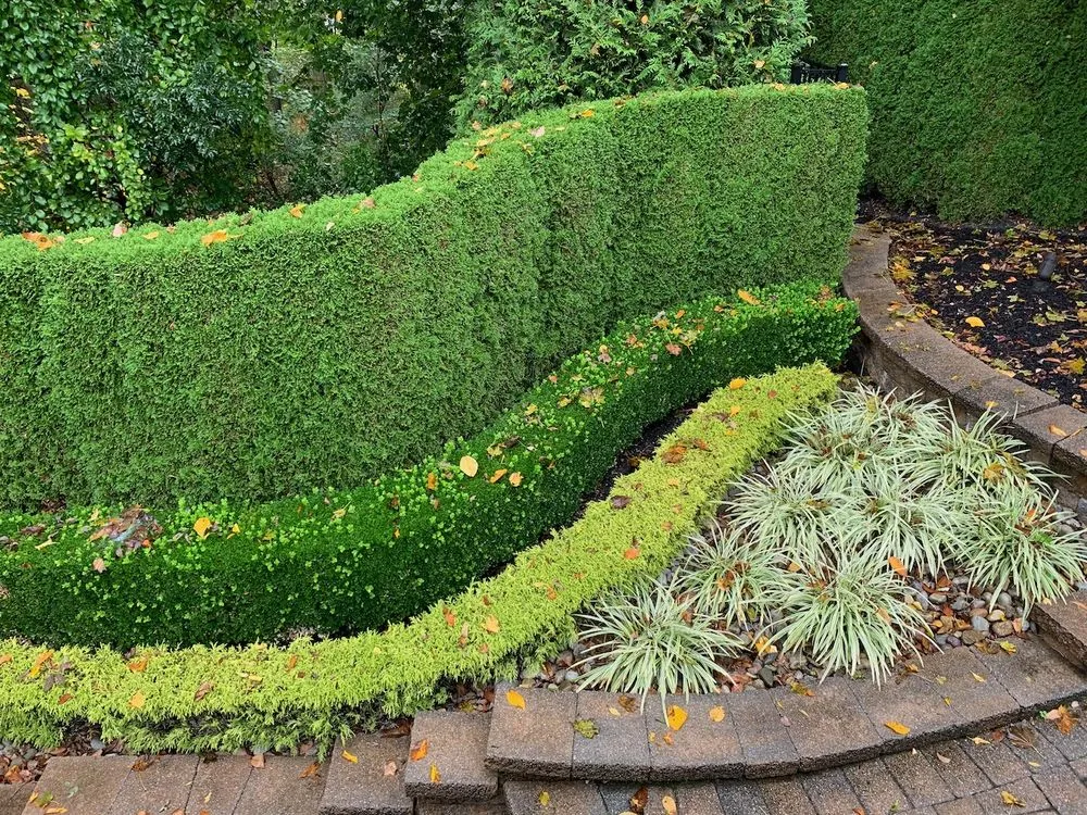 Professional lawn care service for beautiful yards across Morganville, NJ - Vic's Landscaping