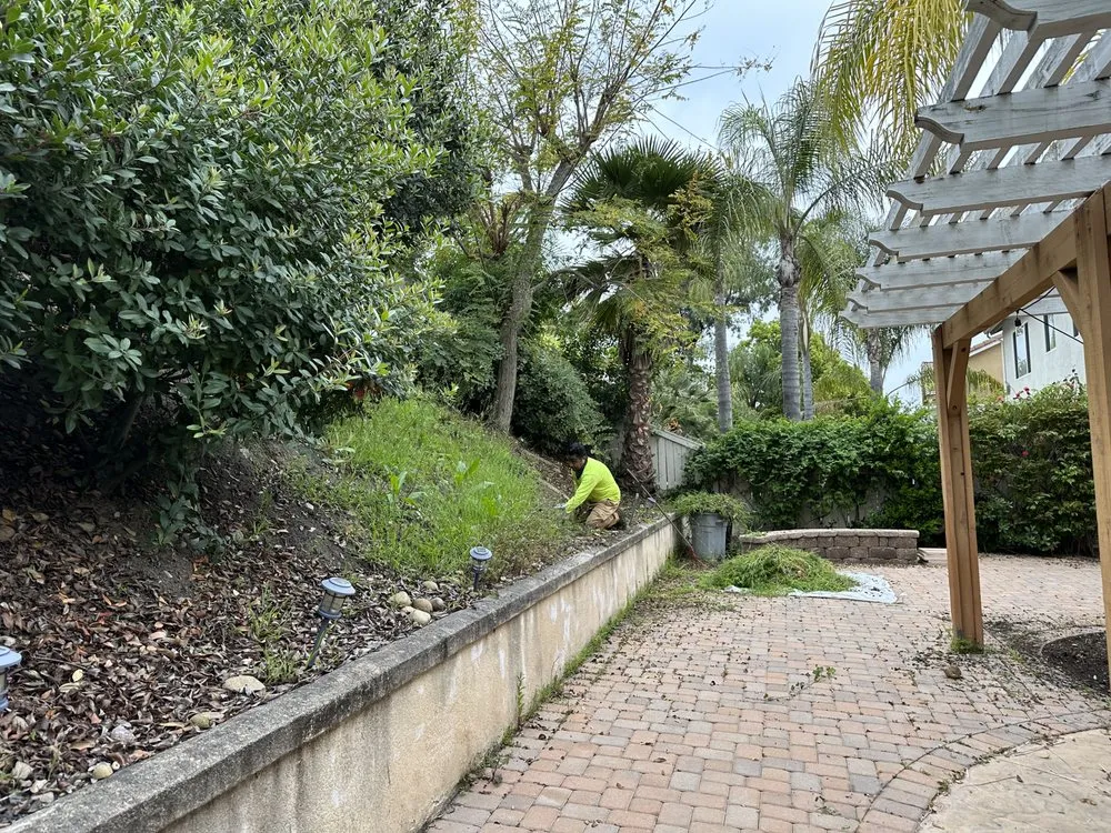 Trusted residential landscaping in Escondido, CA by Vics Lawn Care