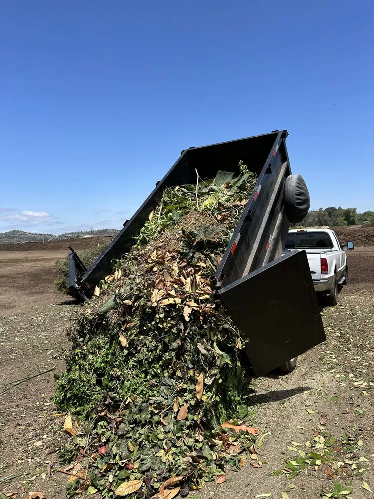 Reliable yard cleanup service with custom design in Escondido, CA by Vics Lawn Care