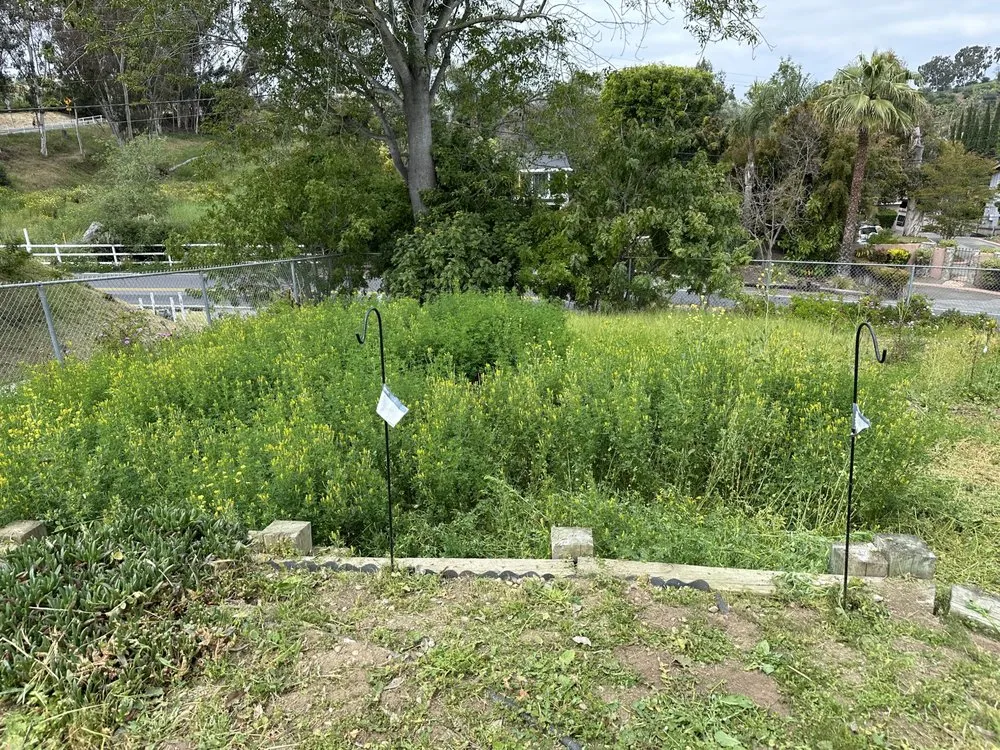 Custom garden landscaping for residential properties in Escondido, CA by Vics Lawn Care