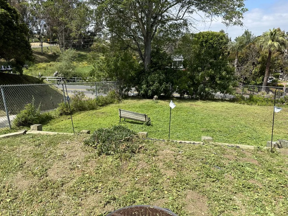 Trusted landscape installation in Escondido, CA - Vics Lawn Care