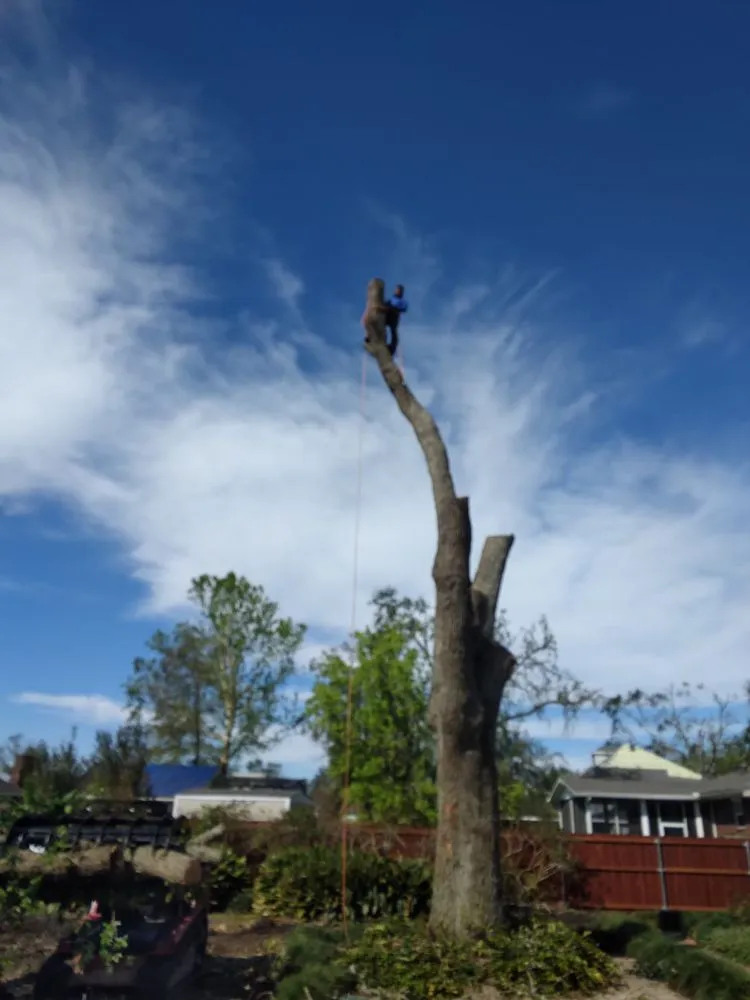 Local garden landscaping in Humble, TX by Victor Arriaga Tree Service