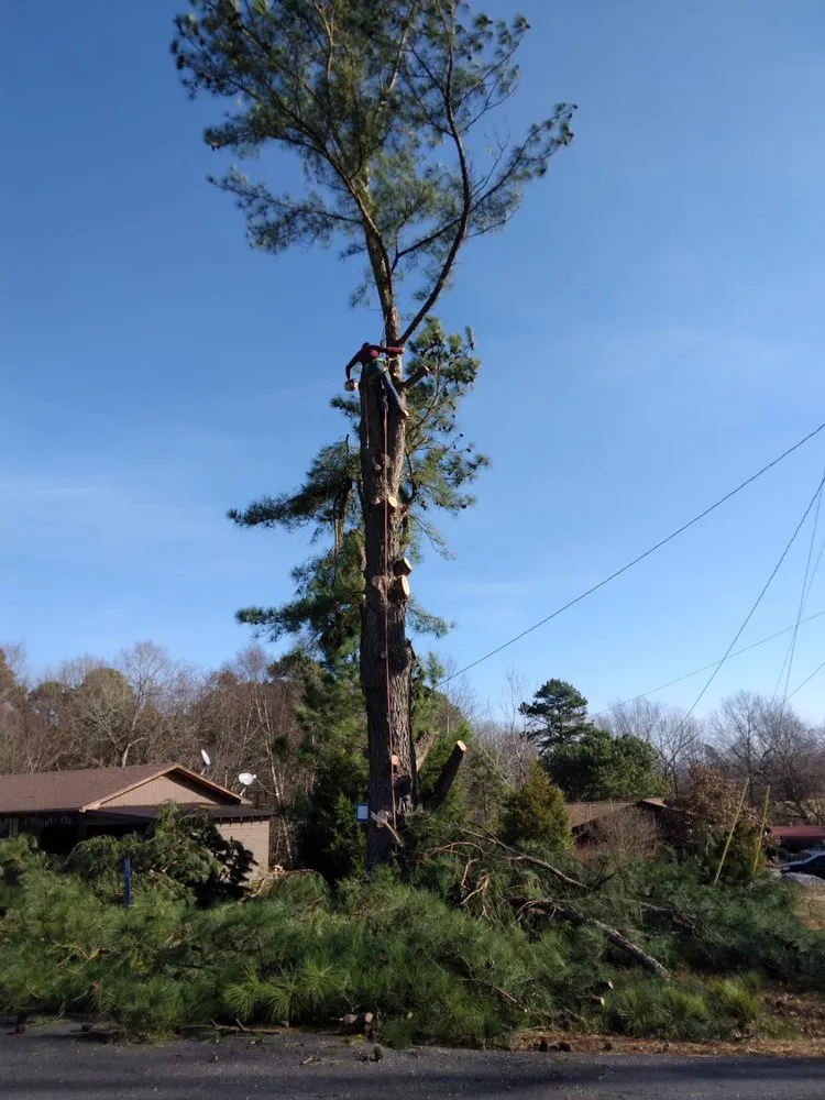 Affordable residential landscaping for beautiful yards in Humble, TX by Victor Arriaga Tree Service