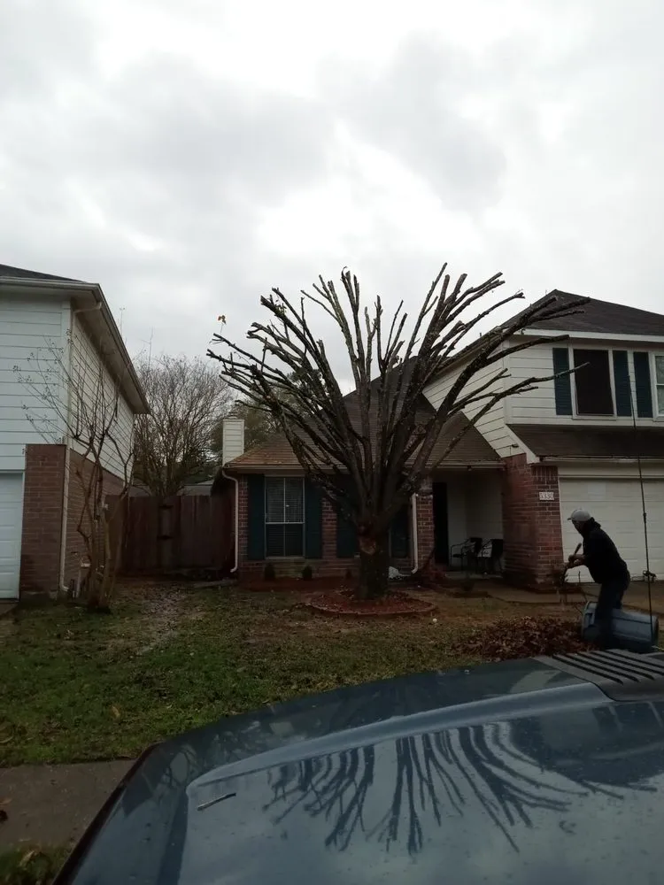 Local lawn care service for year-round maintenance in Humble, TX by Victor Arriaga Tree Service