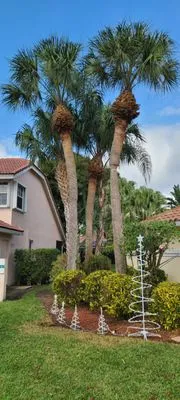 Victor Garcia Landscaping Logo