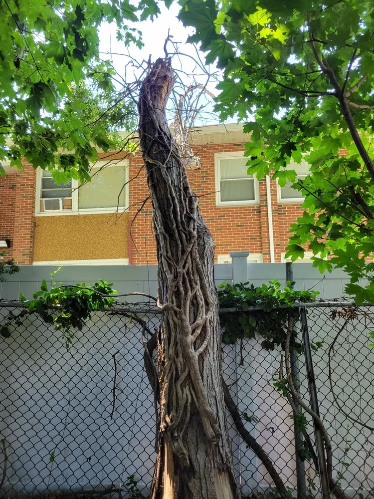 Custom landscape design in Lynn, MA by Victor Hardscape & Masonry