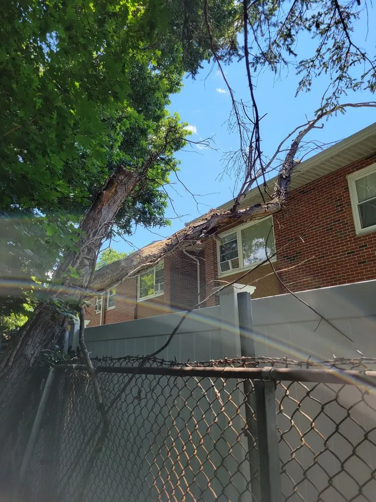 Expert landscape design for beautiful yards in Lynn, MA by Victor Hardscape & Masonry