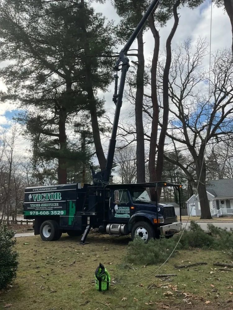 Custom residential landscaping in Lynn, MA - Victor Hardscape & Masonry