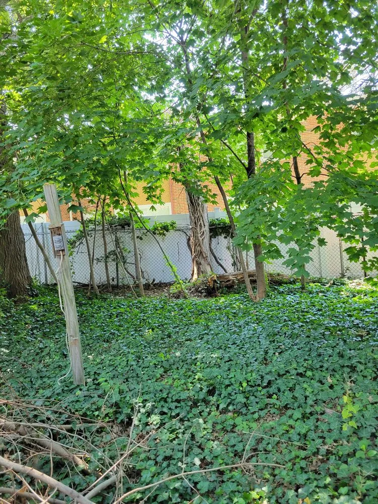 Professional landscape design in Lynn, MA - Victor Hardscape & Masonry