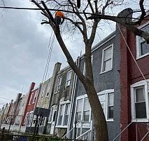 Professional garden landscaping experts serving Bensalem, PA - Victor landscaping