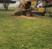 Professional yard cleanup service in Bensalem, PA by Victor landscaping