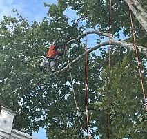 Top-rated residential landscaping in Bensalem, PA by Victor landscaping