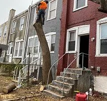 Affordable landscape installation experts serving Bensalem, PA - Victor landscaping