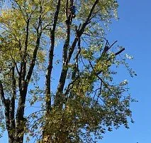 Custom outdoor landscaping for outdoor upgrades across Bensalem, PA - Victor landscaping