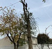 Reliable yard maintenance for beautiful yards across Bensalem, PA - Victor landscaping