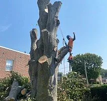 Custom landscape design for residential properties across Bensalem, PA - Victor landscaping