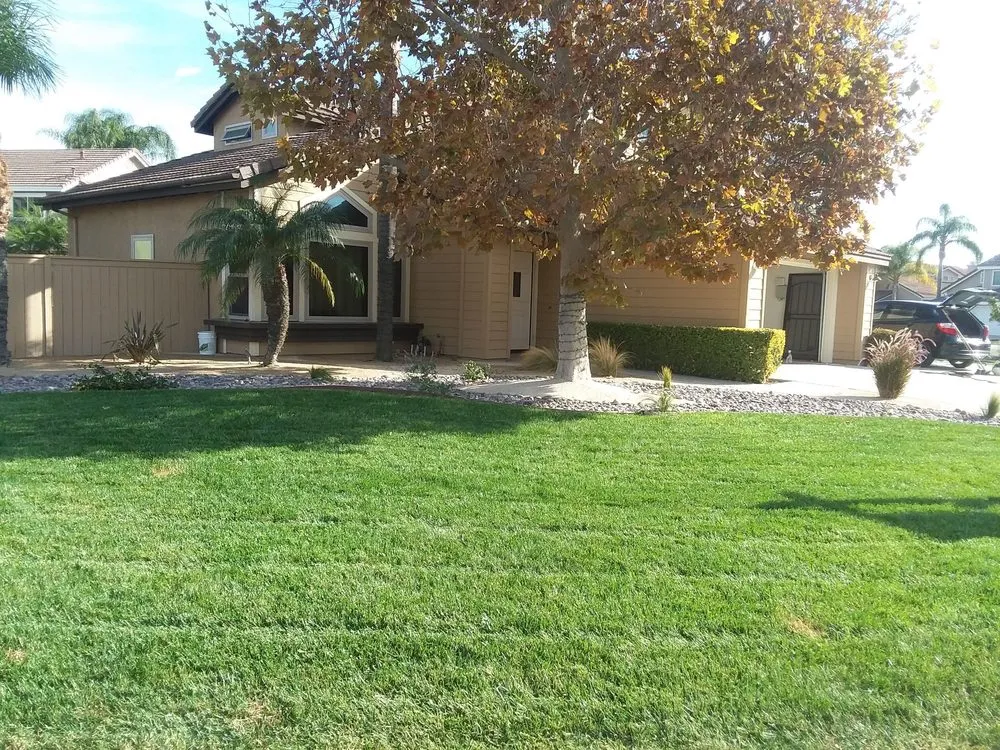 Expert yard maintenance in Menifee, CA - Victor Landscaping