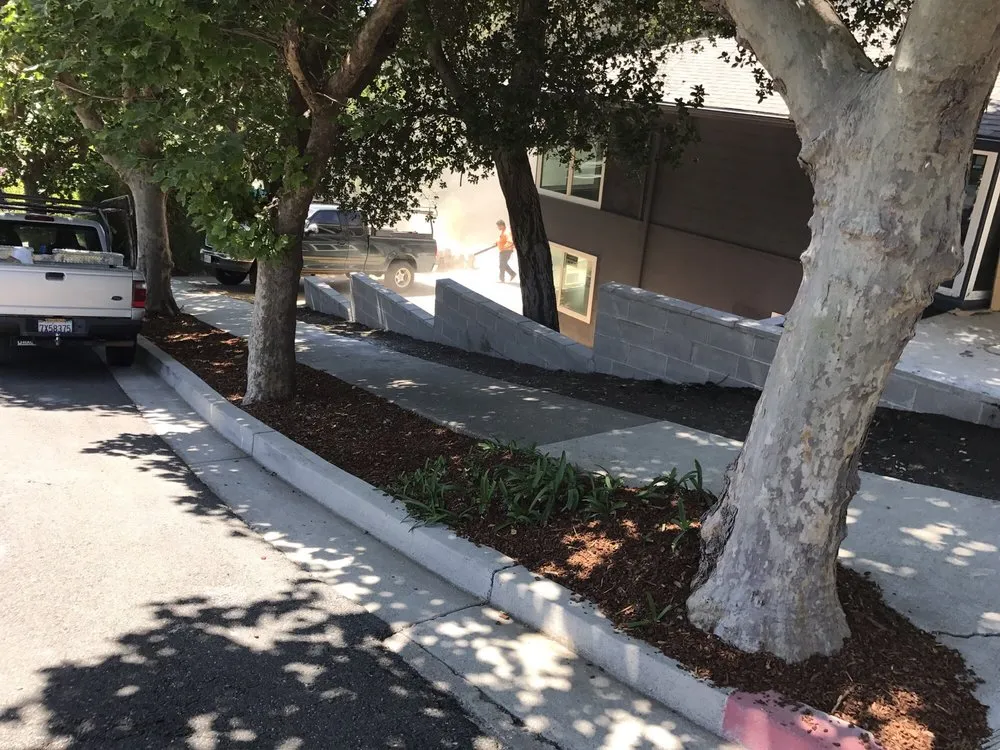 Professional lawn care service for year-round maintenance across Pittsburg, CA - Victor Landscaping