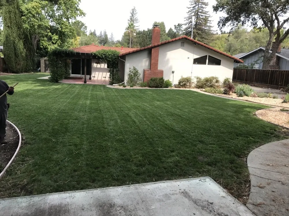 Professional outdoor landscaping in Pittsburg, CA - Victor Landscaping