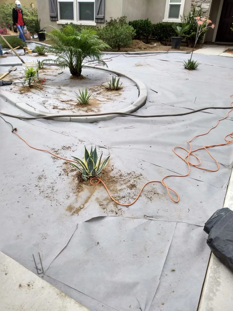 Reliable lawn mowing service near you in Riverside, CA by Victor Landscaping