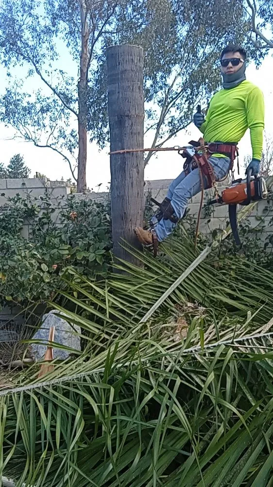 Reliable lawn care service experts serving Riverside, CA - Victor Landscaping