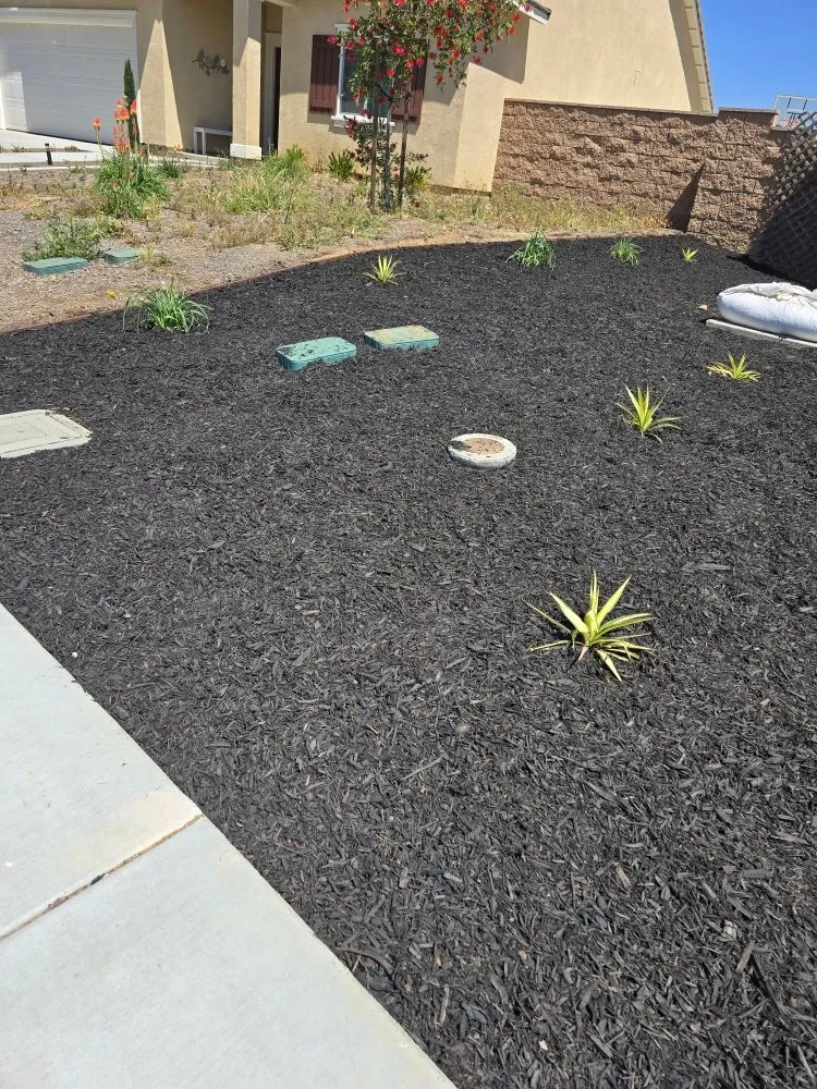 Affordable landscape installation in Riverside, CA by Victor Landscaping