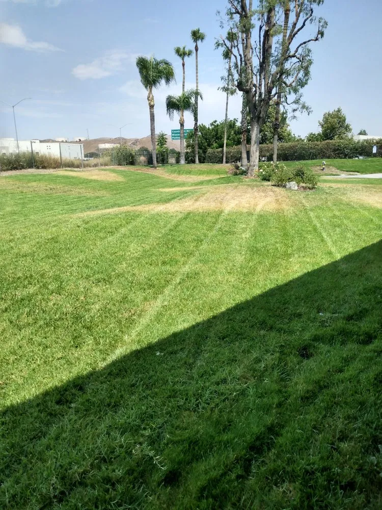 Local landscaping services experts serving Riverside, CA - Victor Landscaping